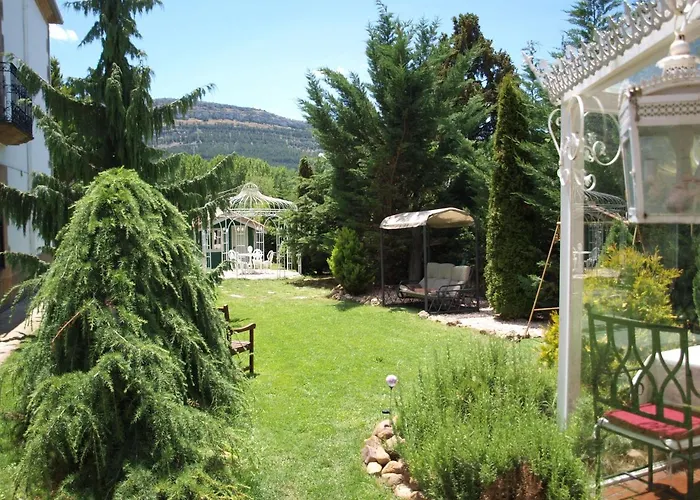 호텔 Del Indiano 5*